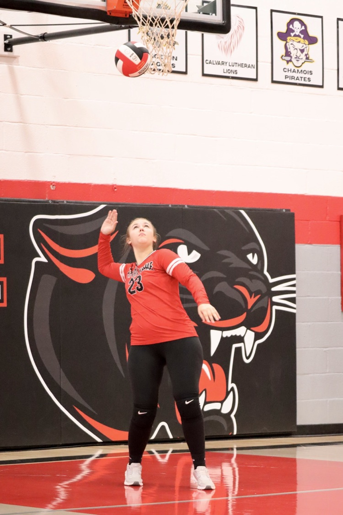panthers vb