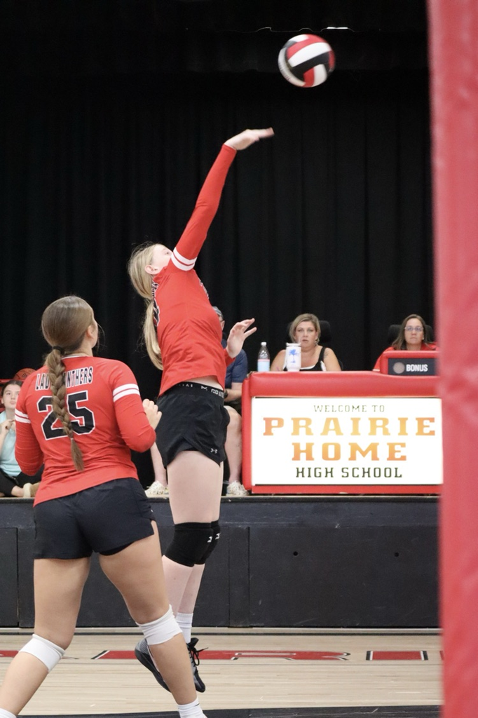 panthers vb