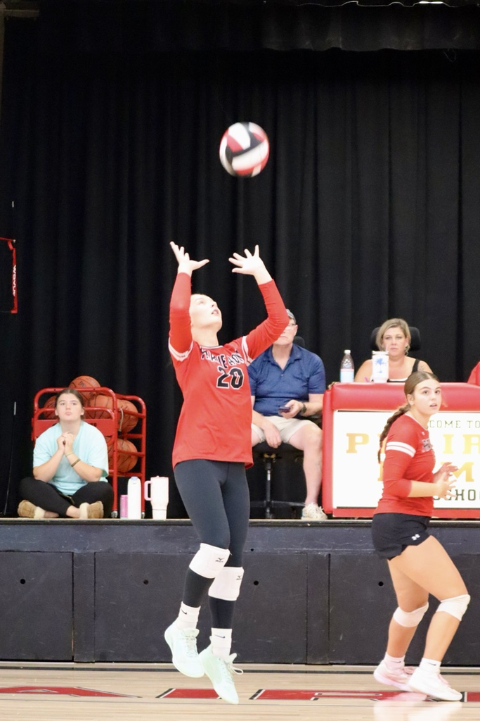 panthers vb