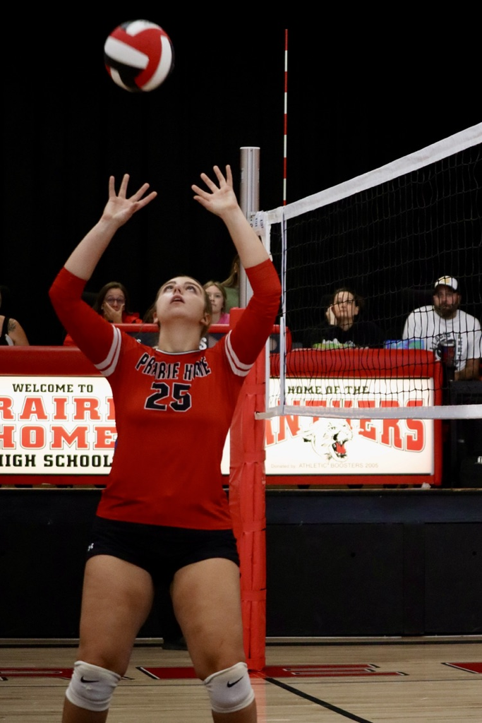 panthers vb