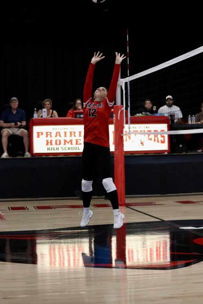 panthers vb