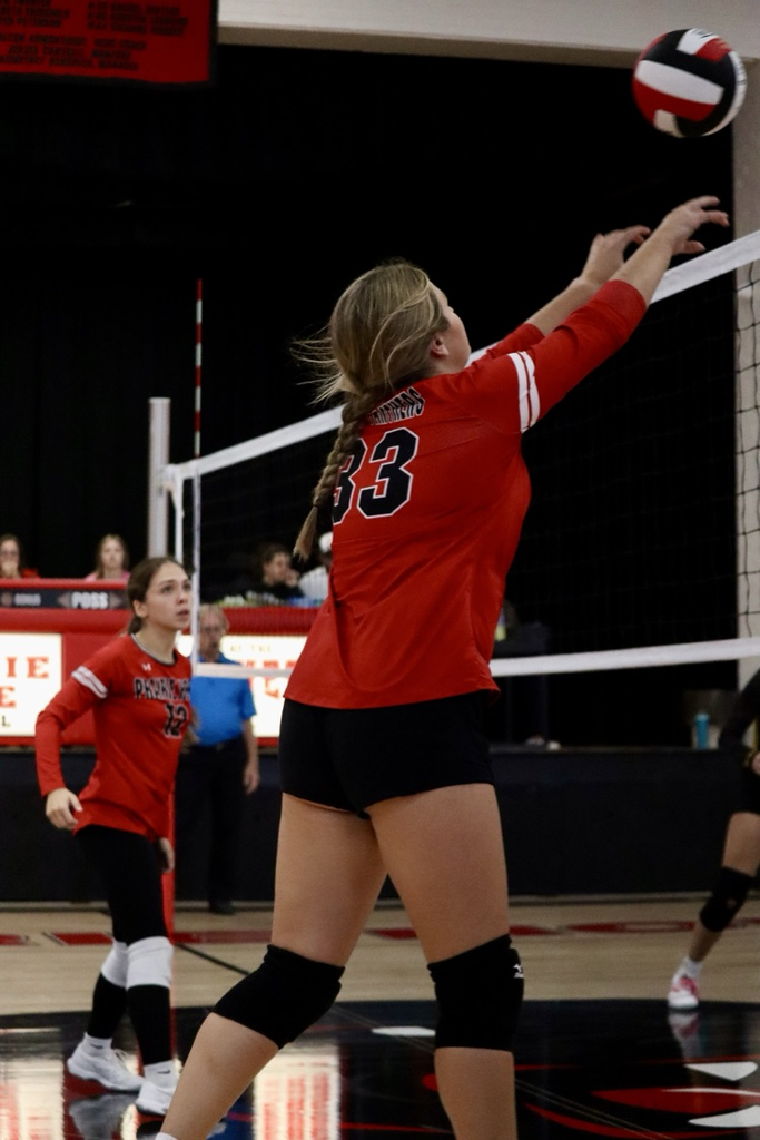 panthers vb