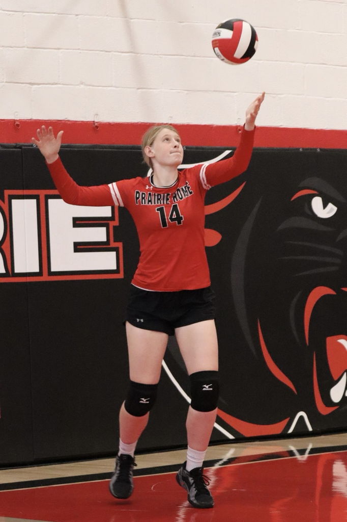 panthers vb