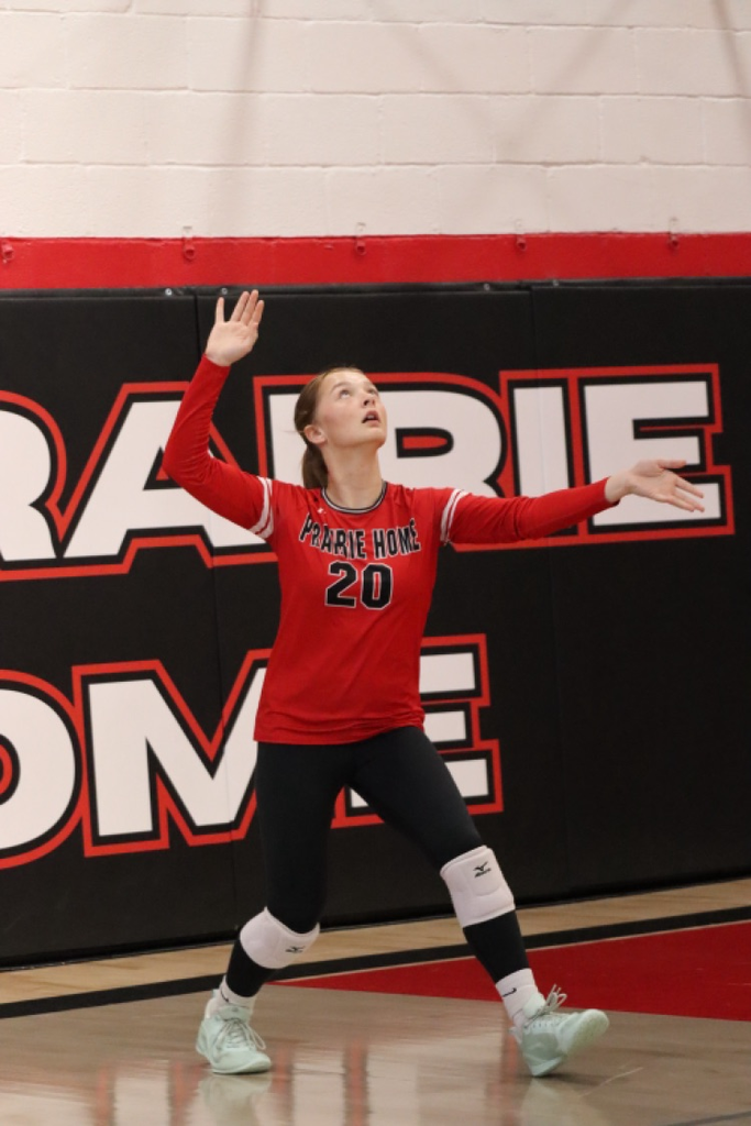 panthers vb