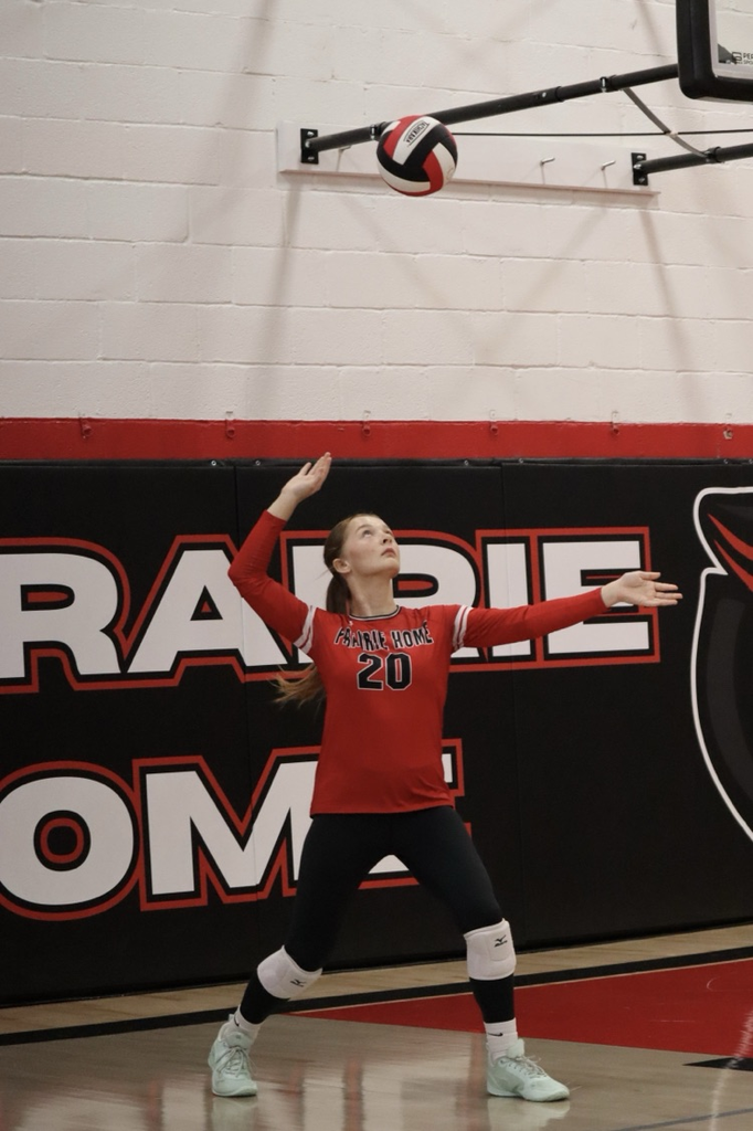 panthers vb