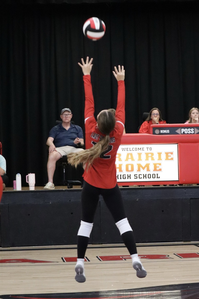 panthers vb