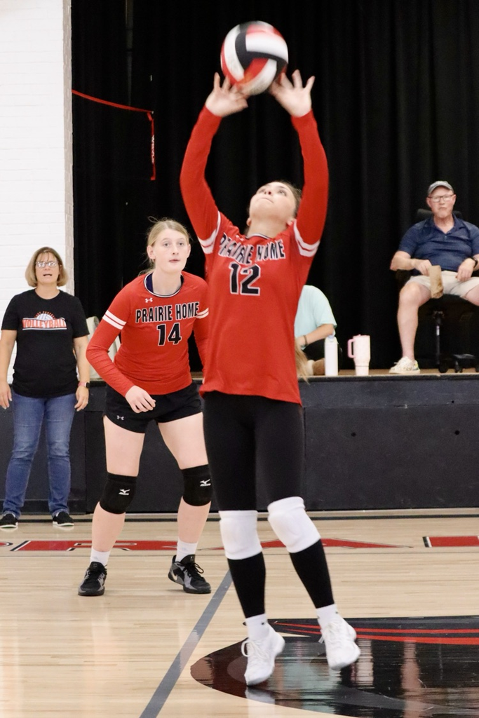 panthers vb