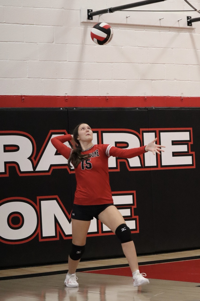 panthers vb