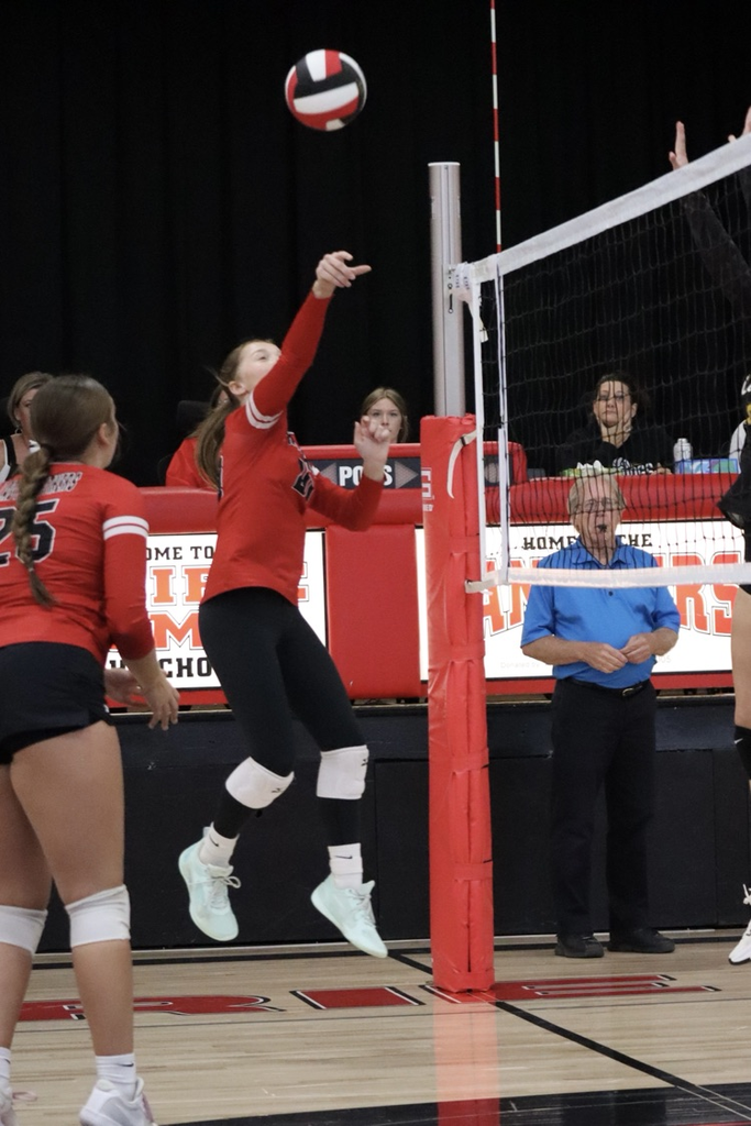 panthers vb