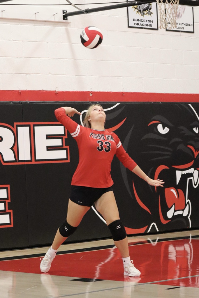 panthers vb