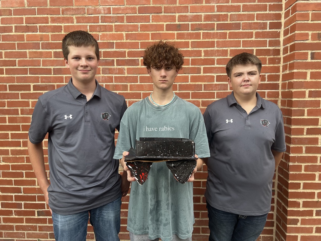 The boys came in second with 82 dominos.