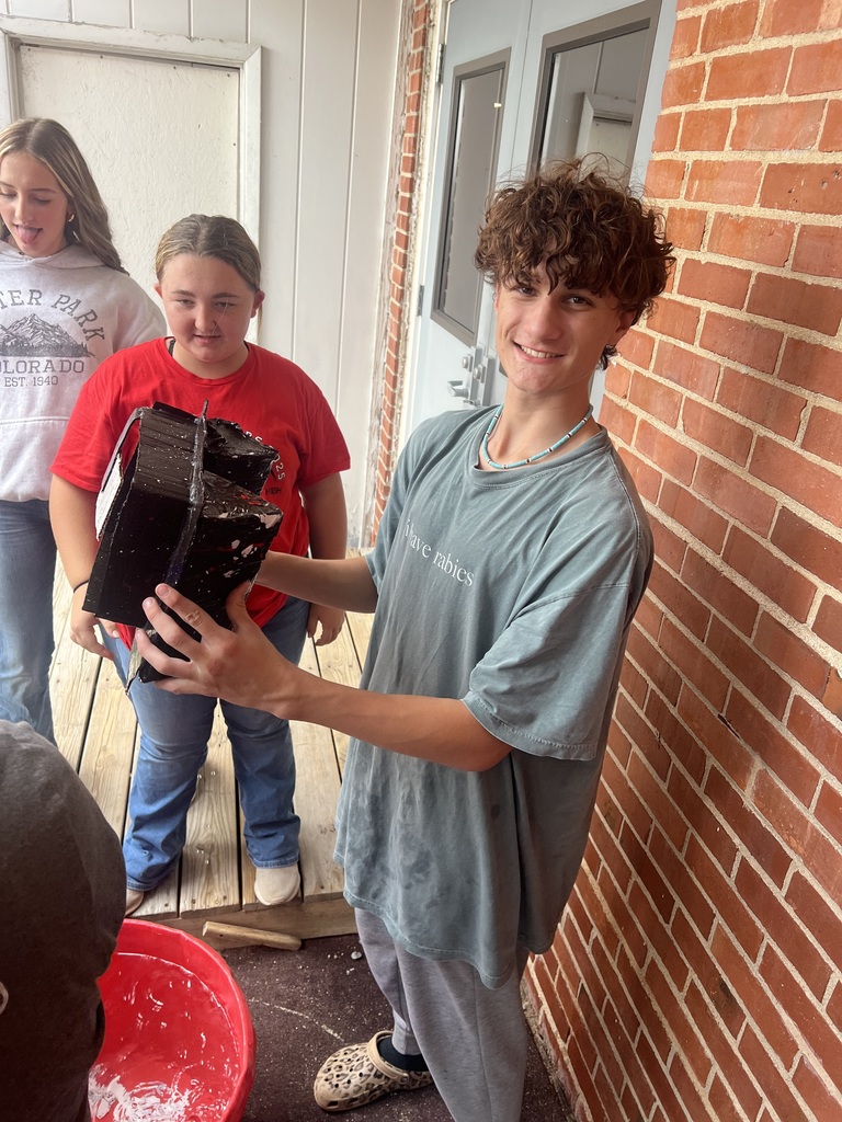 I think the students enjoyed the project.