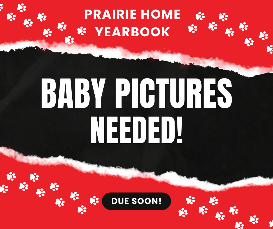 baby photos needed