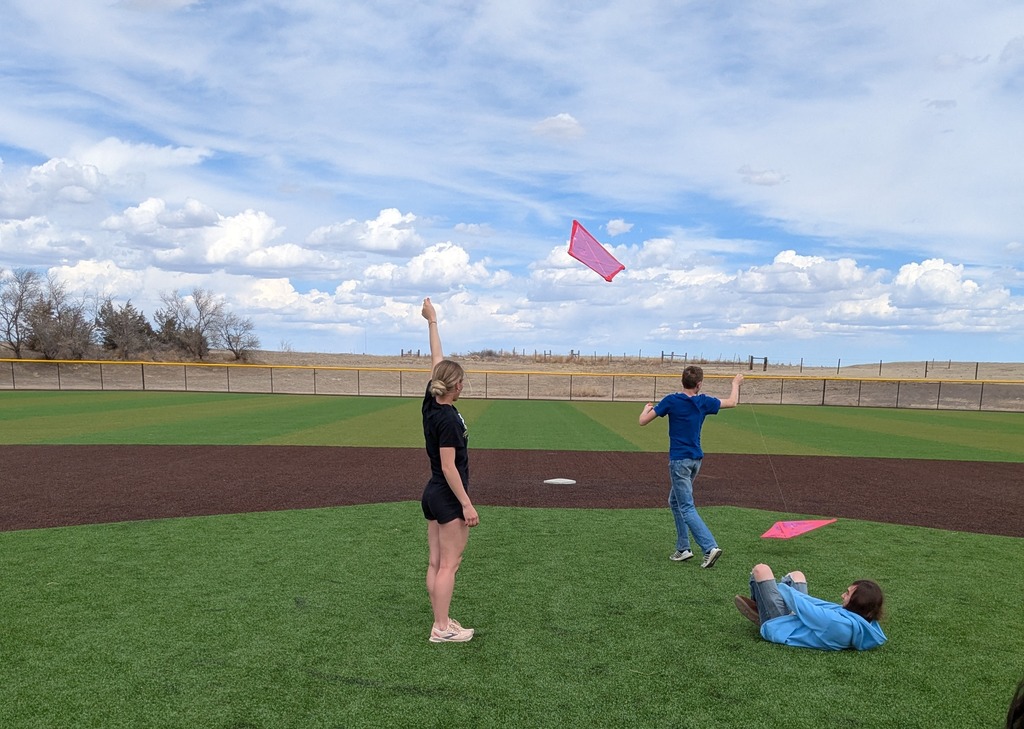 Geometry students flying kites