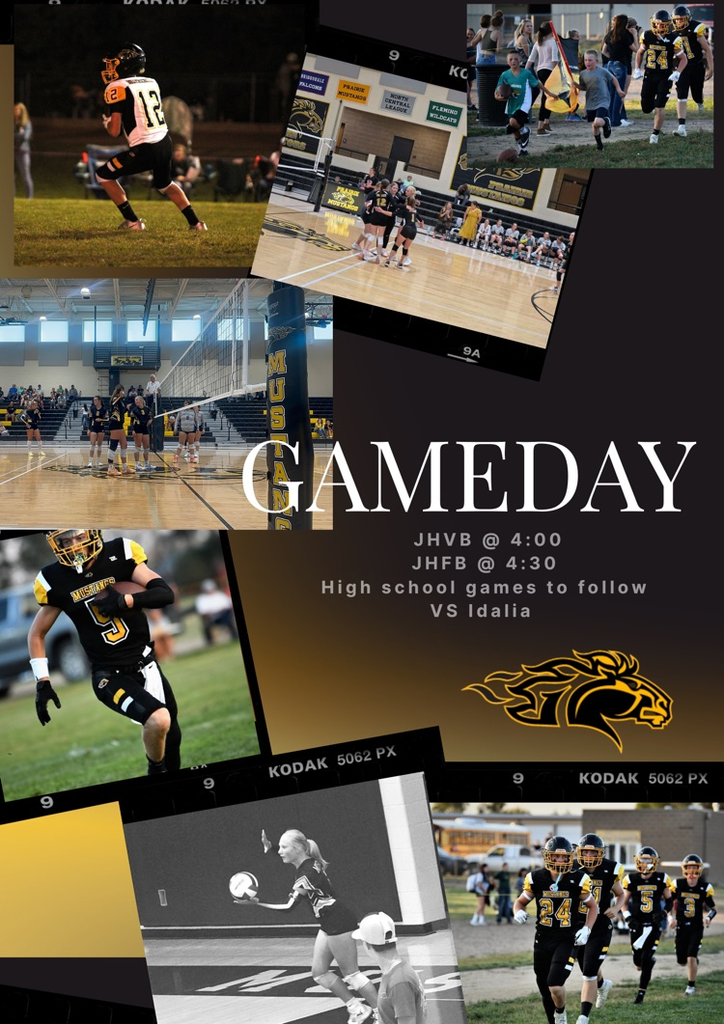 Game Day