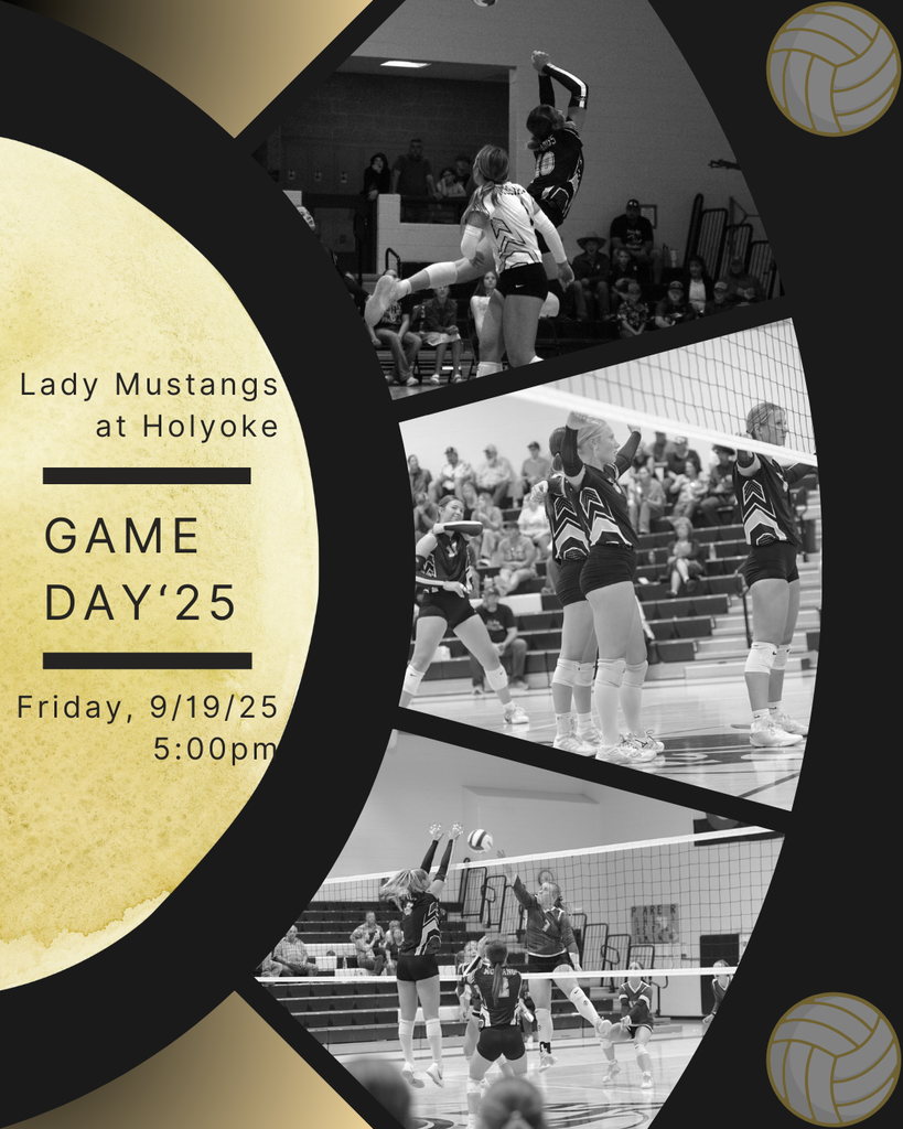 VB Game Day at Holyoke