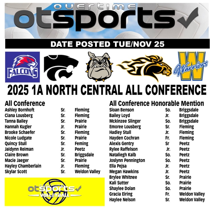 Volleyball All- Conference 