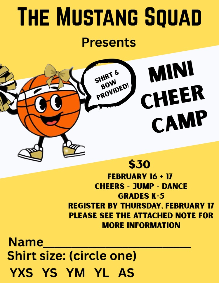 mustang squad cheer camp