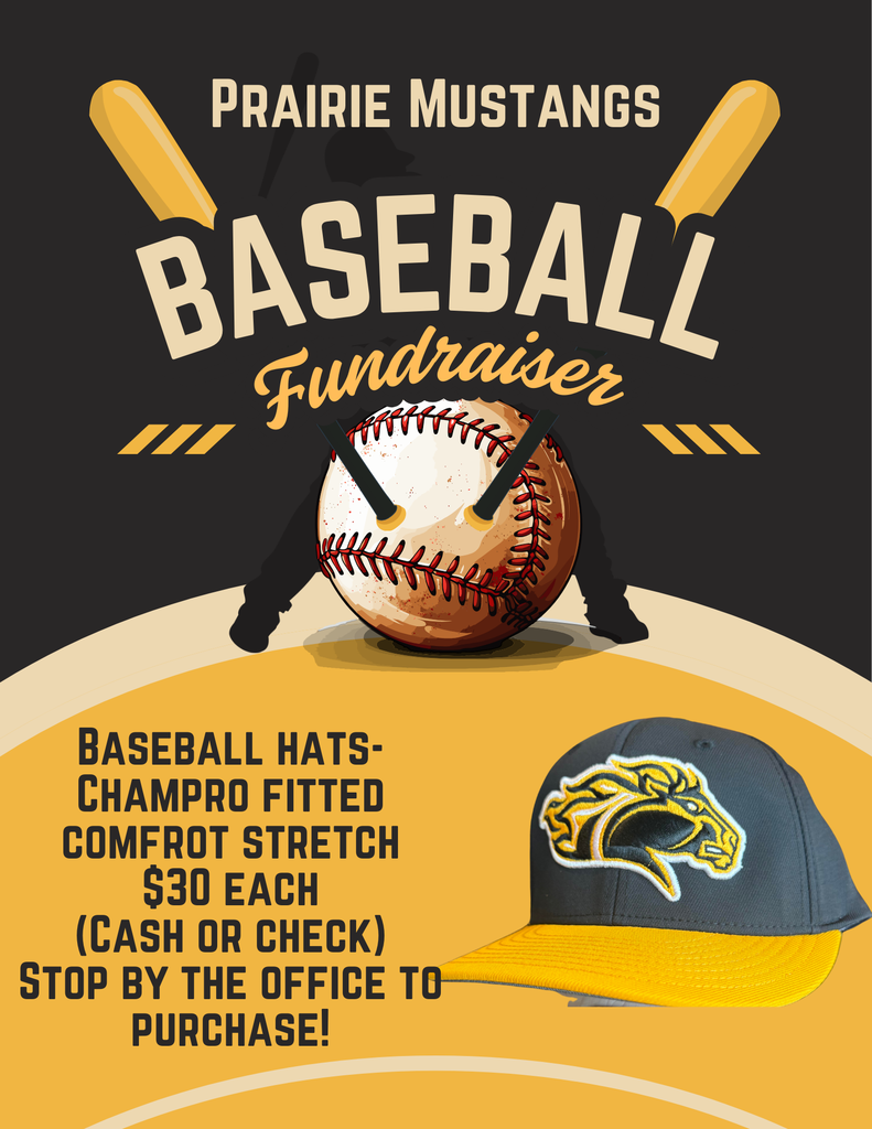 Baseball Hat Fundraiser