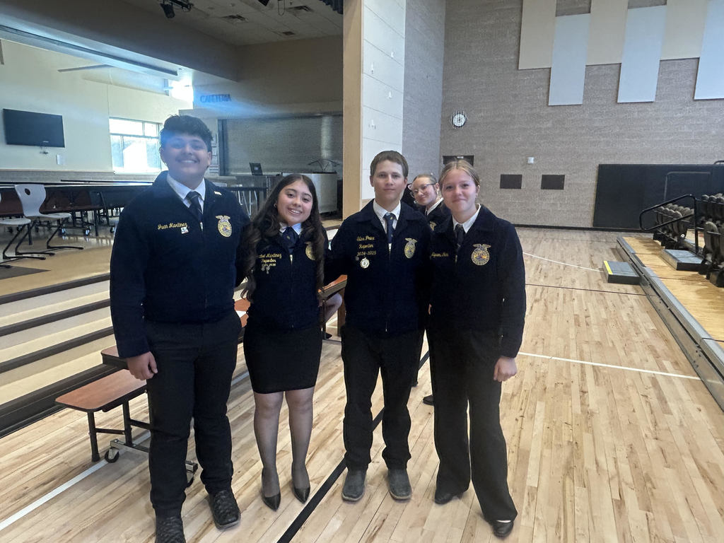 Parli Pro Champs