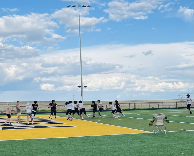 Mustang Football