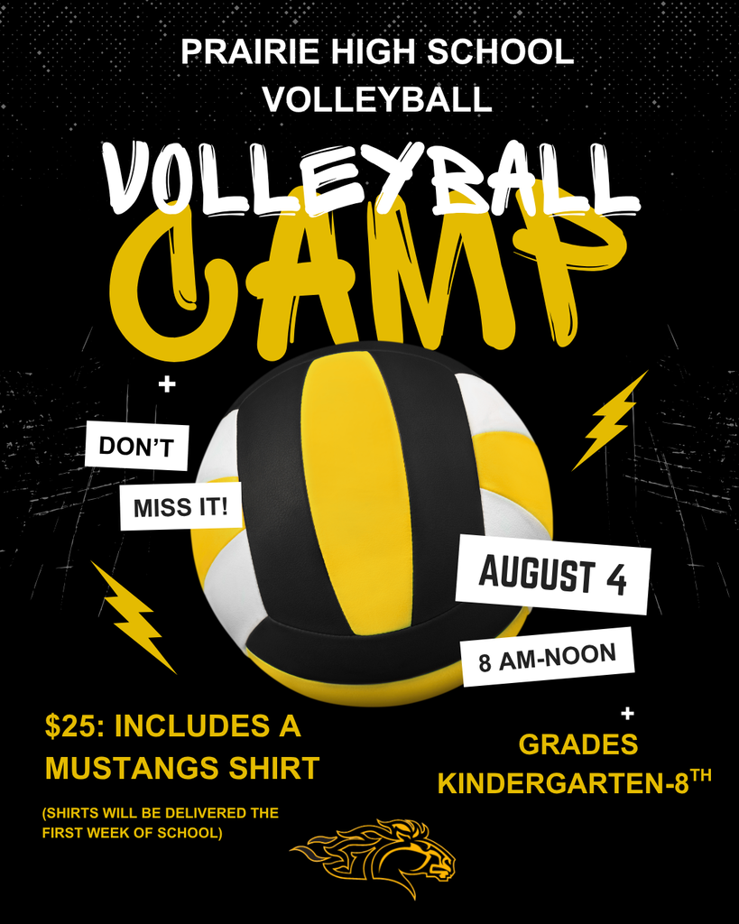 Volleyball camp