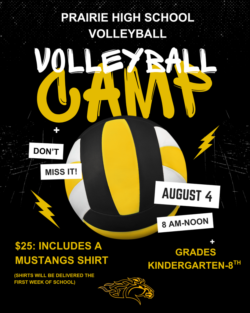 Volleyball Camp