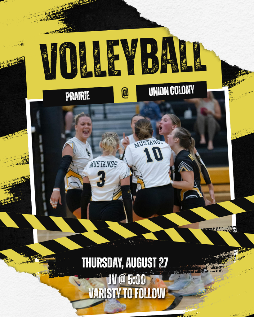 HS Volleyball game day