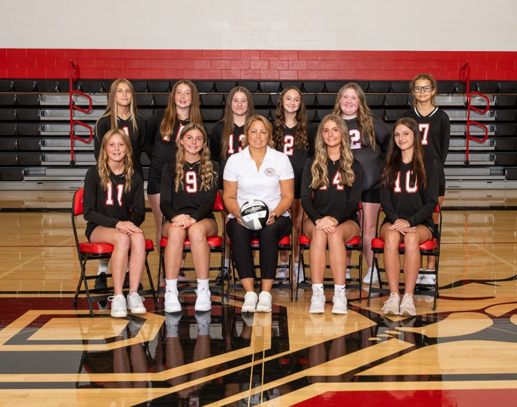 volleyball team