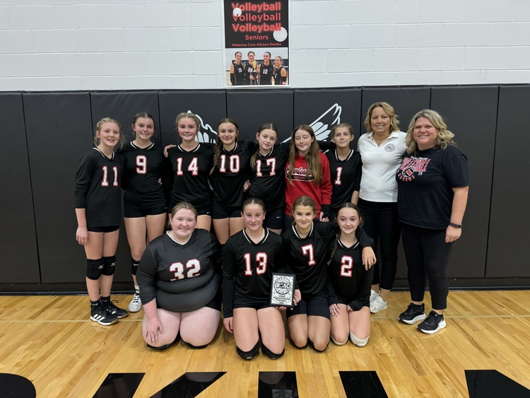 volleyball team