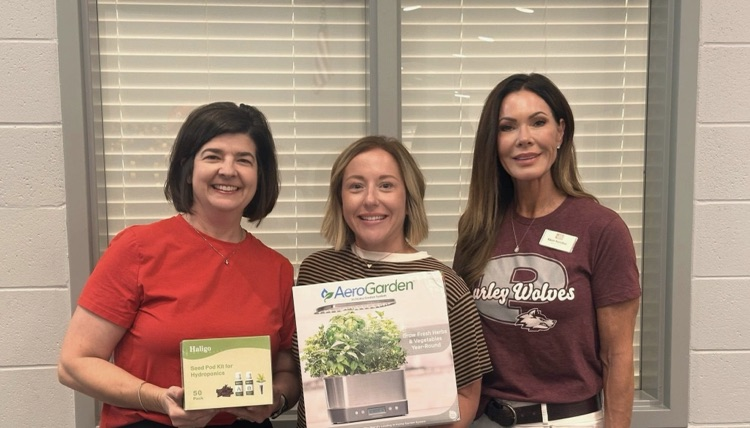 Hydroponic Garden