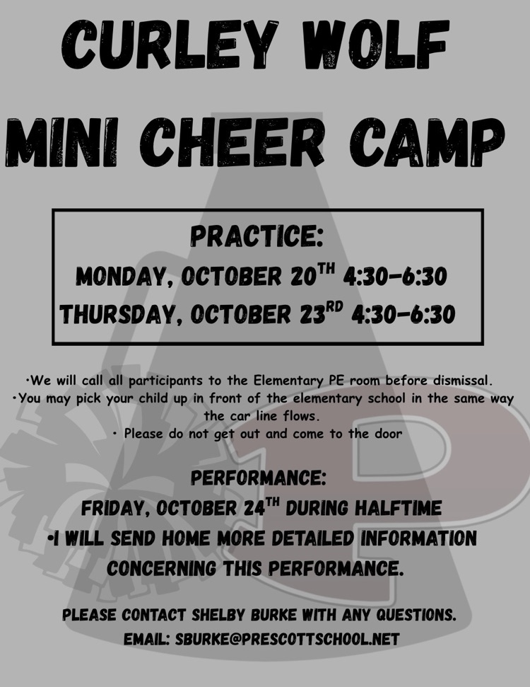 Mini Cheer