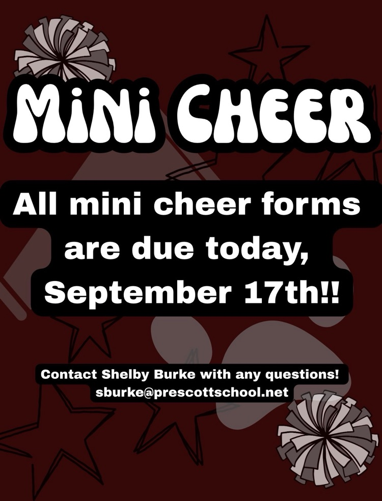 mini cheer flyer