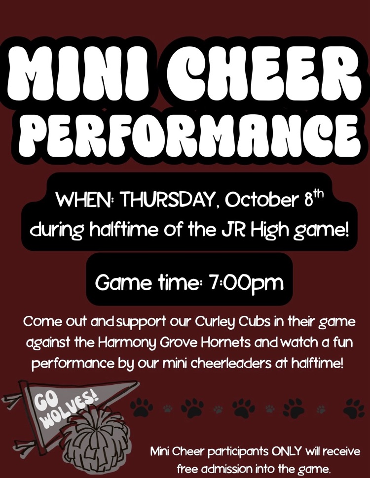 mini cheerleaders