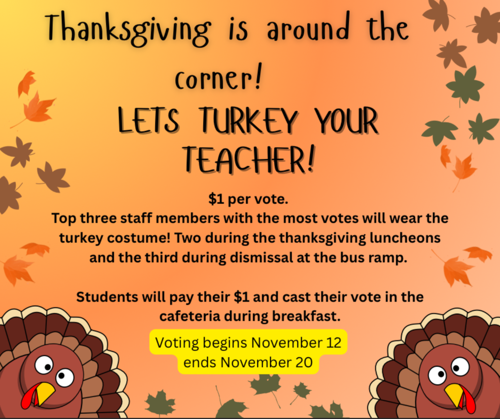 Turkey your Teacher!