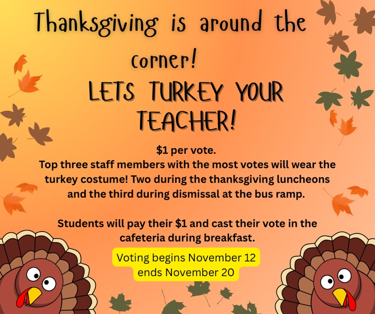 Turkey Your Teacher!