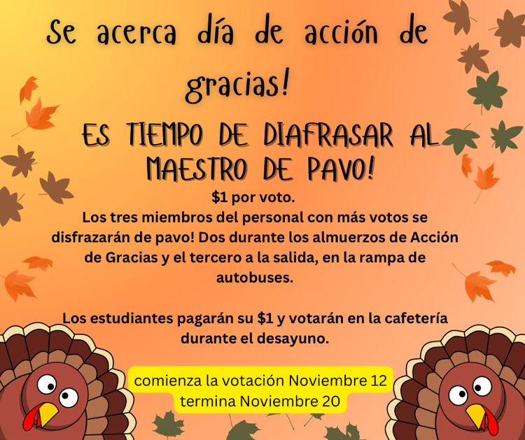 ¡Tu profesor de Turquía!