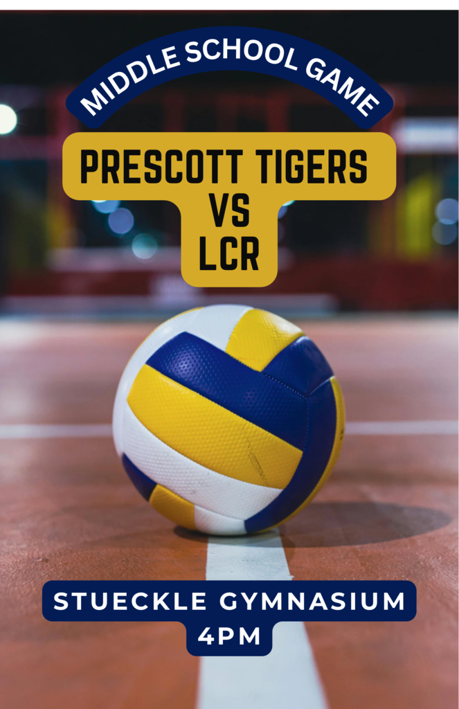 MS volleyball game flyer