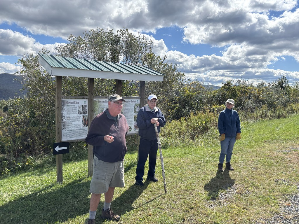 chestnut tour guides