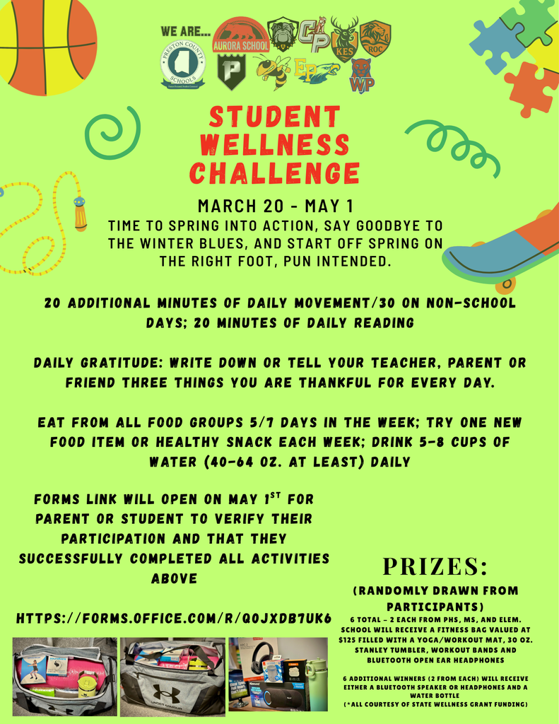 spring wellness challenge flyer - all text