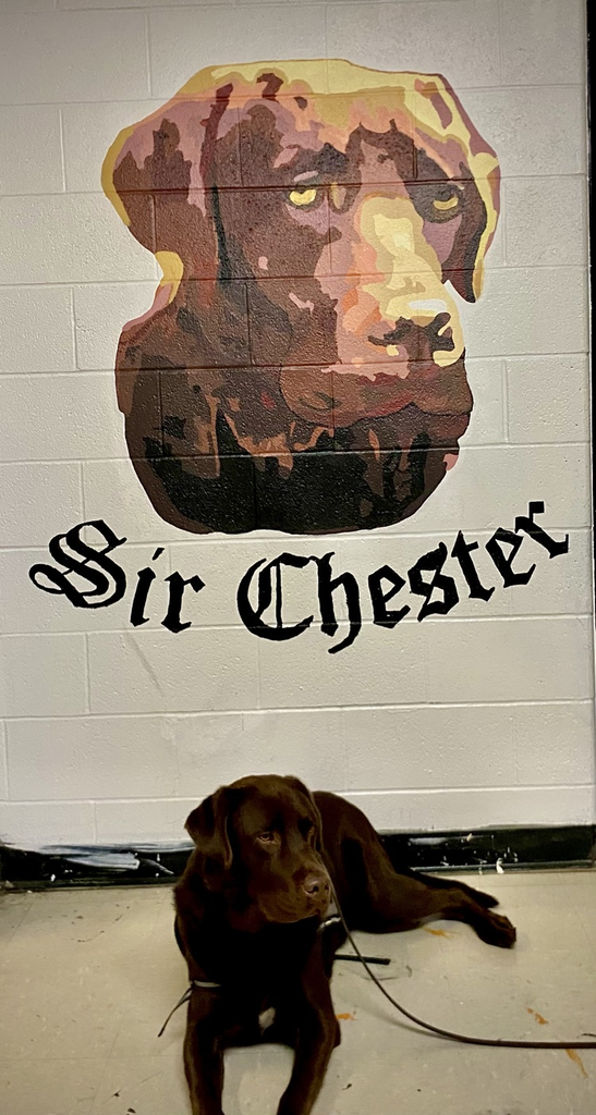 chocolate lab in front of his own moral