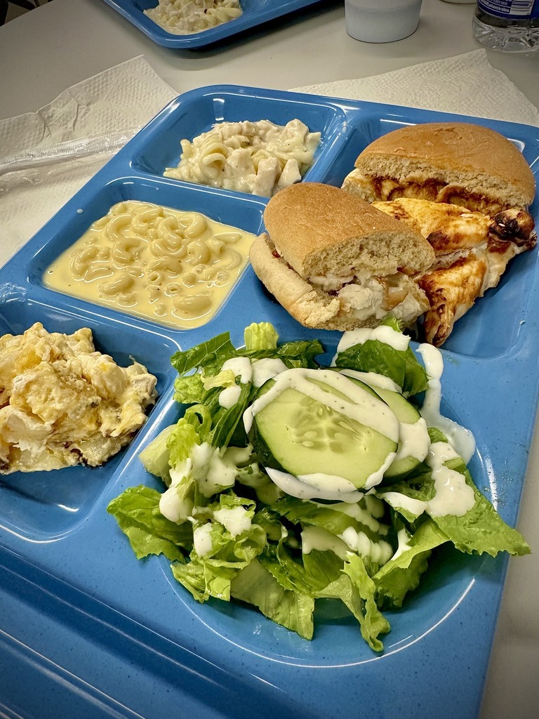 school lunch tray