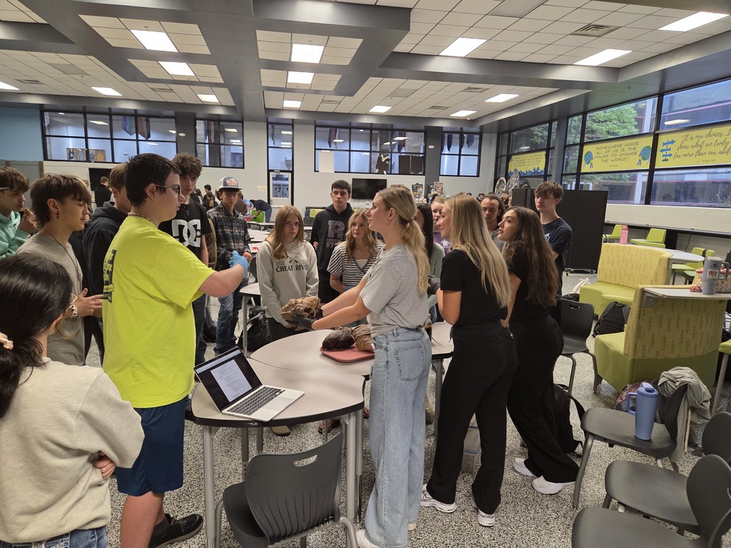 students learn science