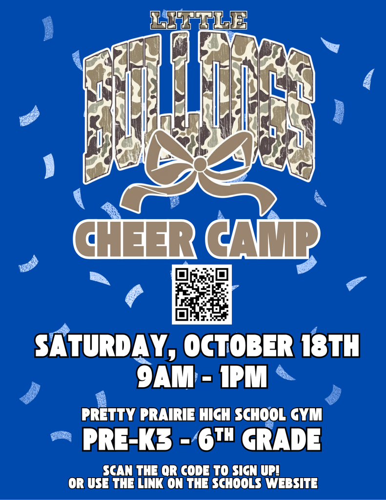 little bulldog cheer camp 