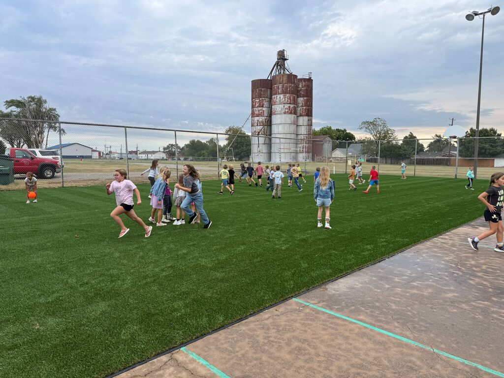 New ES Turf