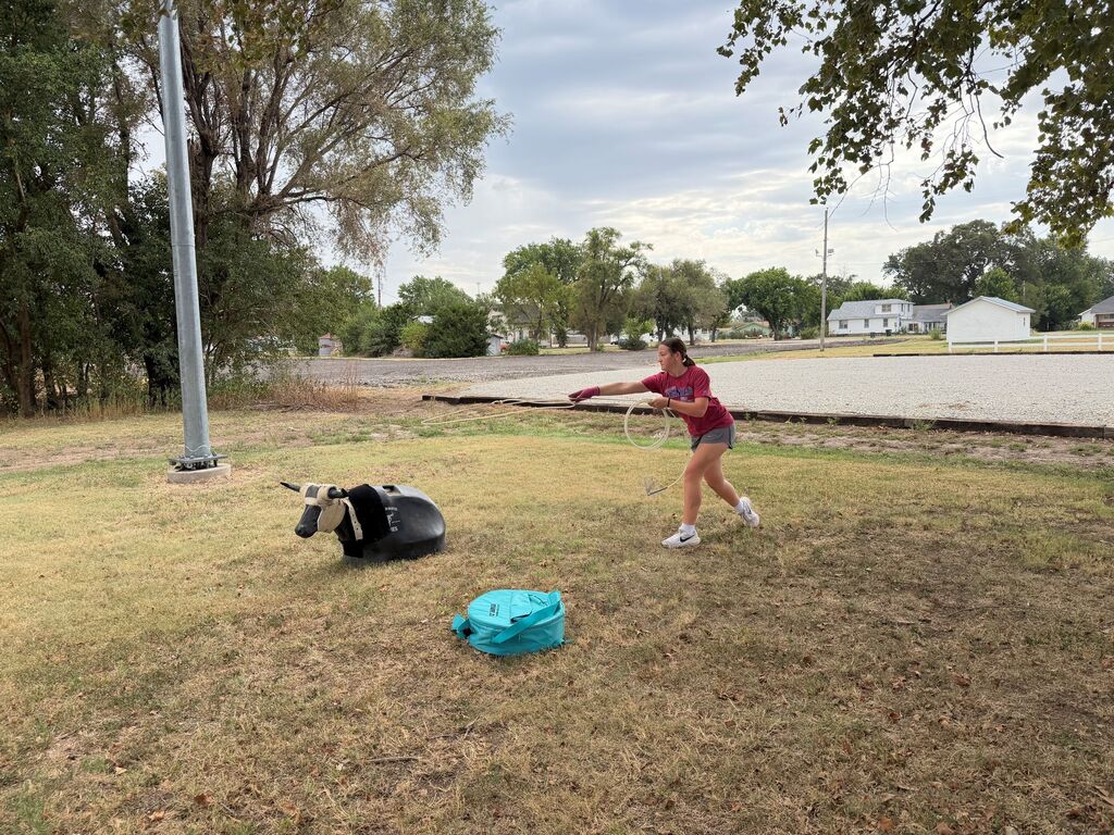 Yard Games