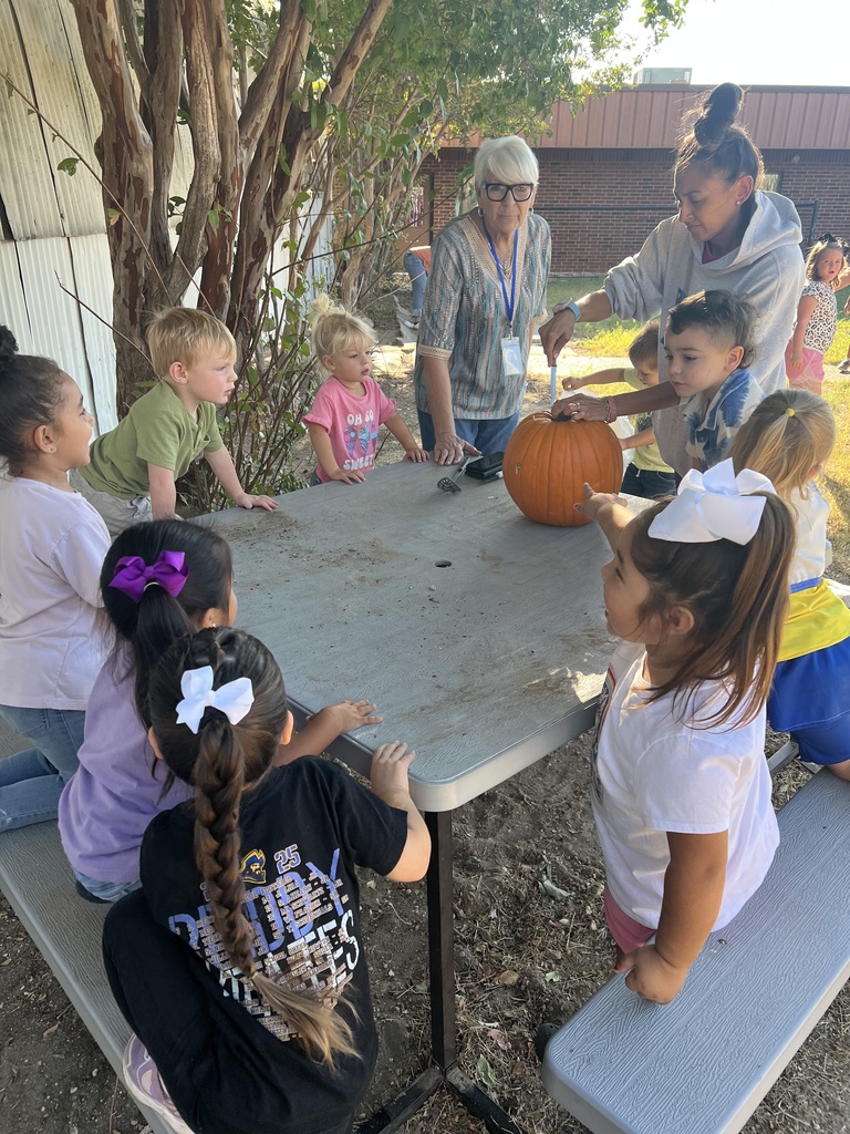 Making jack-o-lanterns 🎃