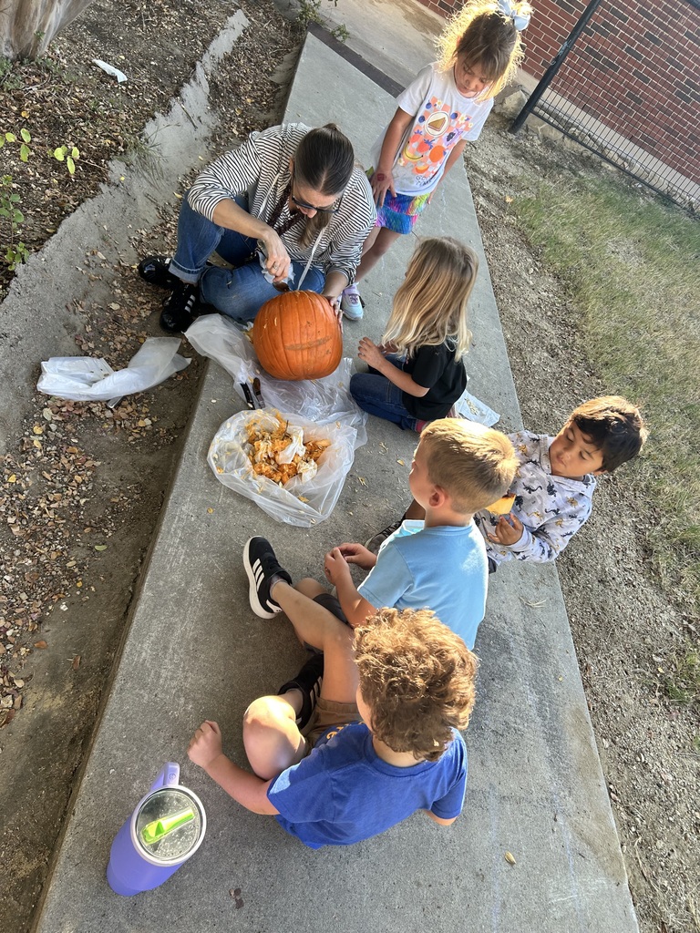 Making jack-o-lanterns 🎃