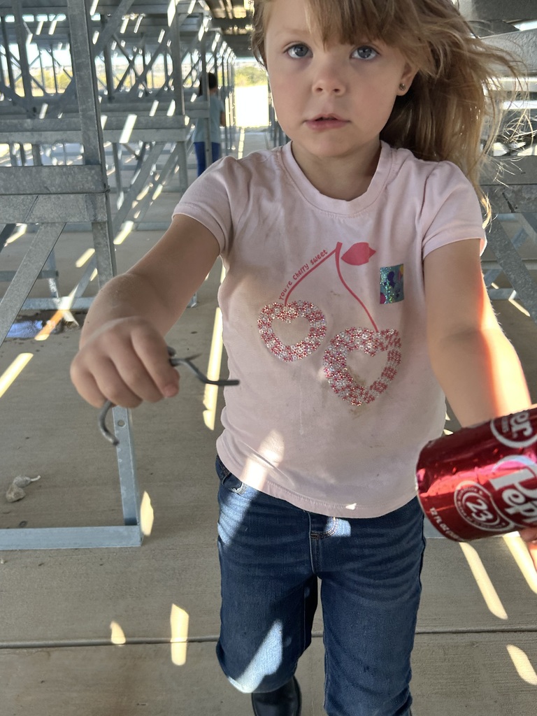 Community day photos 