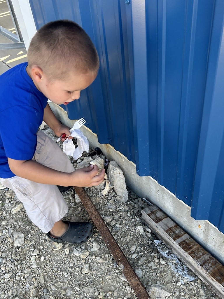 Community day photos 